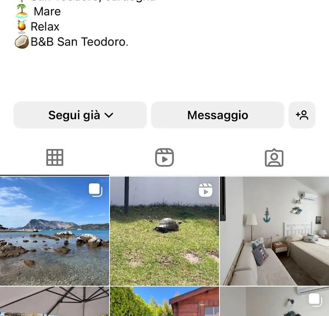 Bed & Breakfast B&Bcoccole San Teodoro  Italy