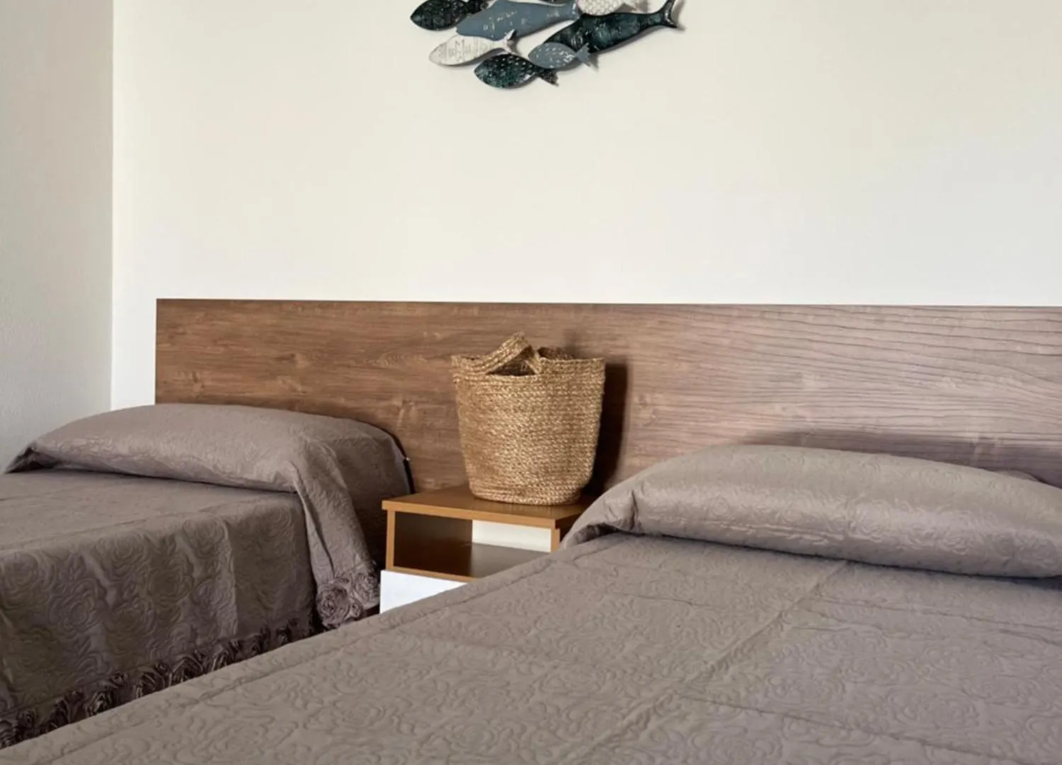 Bed & Breakfast B&Bcoccole San Teodoro  Italy