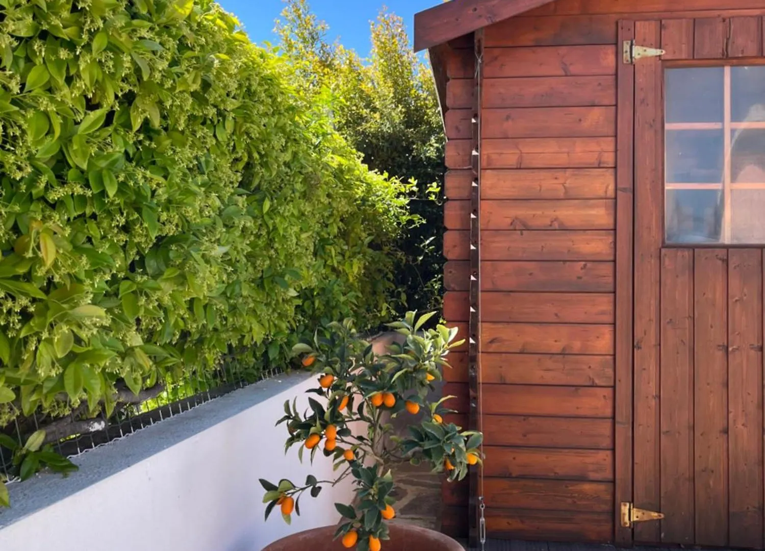 B&Bcoccole San Teodoro  Bed & Breakfast San Teodoro (Sardinia)